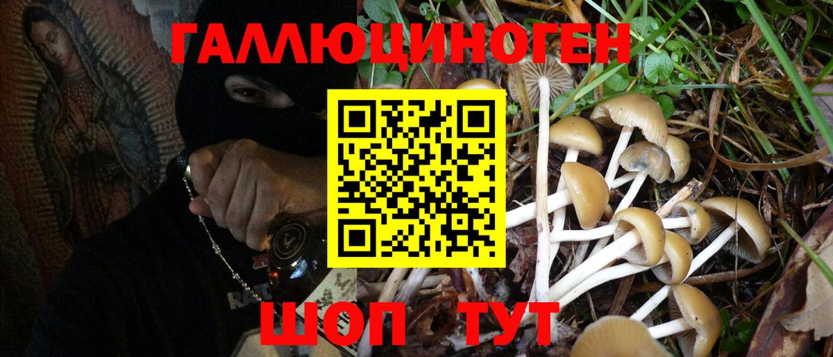 Псилоцибиновые грибы мухоморы Гудермес
